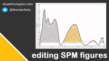 Statistical Parametric Mapping (SPM): Edit Figures