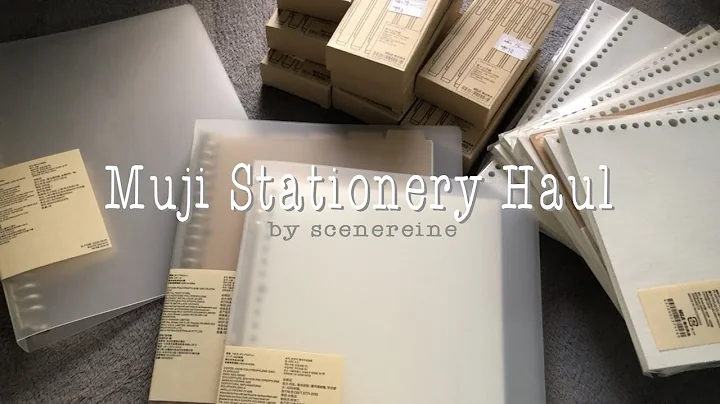 MUJI Stationery Haul | scenereine