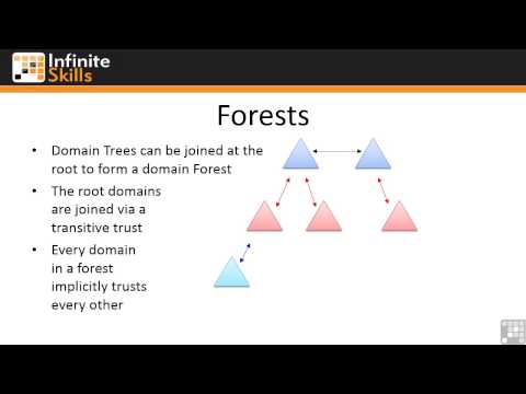 Domains, Trees, And Forests Overview