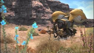 FFXIV: A Realm Reborn (Beta) 