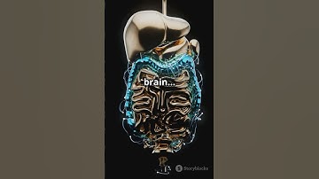 You Have a Second Brain in Your Gut! #facts #science