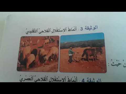 الاجتماعيات الجغرافيا دراسة المشهد الريفي