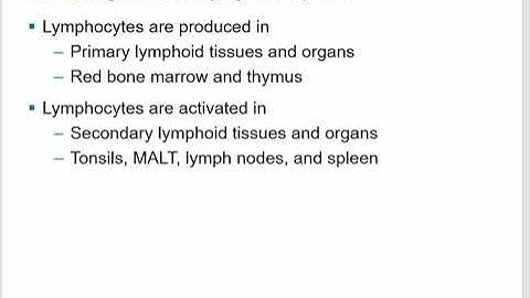 Bio234 A&P 2 Chapter 22 Lymphatic system Part 1 2023