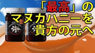 MGOが最高レベルのマヌカハニーをお得にゲットするならココ！