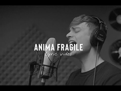 CIOFFI - ANIMA FRAGILE (Lyric Video)