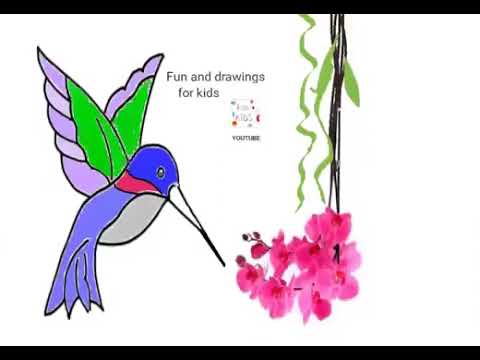 Hur man ritar en kolibri