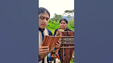 The Sound Of Silence - Panflute - Flute - Quena - Toyos