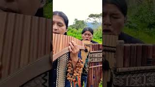The Sound Of Silence - Panflute - Flute - Quena - Toyos