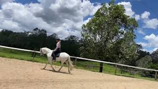 Wyann Galliano after watching the Carl Hester Masterclass