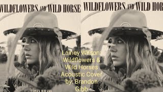 Lainey Wilson: Wildflowers & Wild Horses  ( Bell Bottom Country acoustic cover ) by: Brandon Gibb