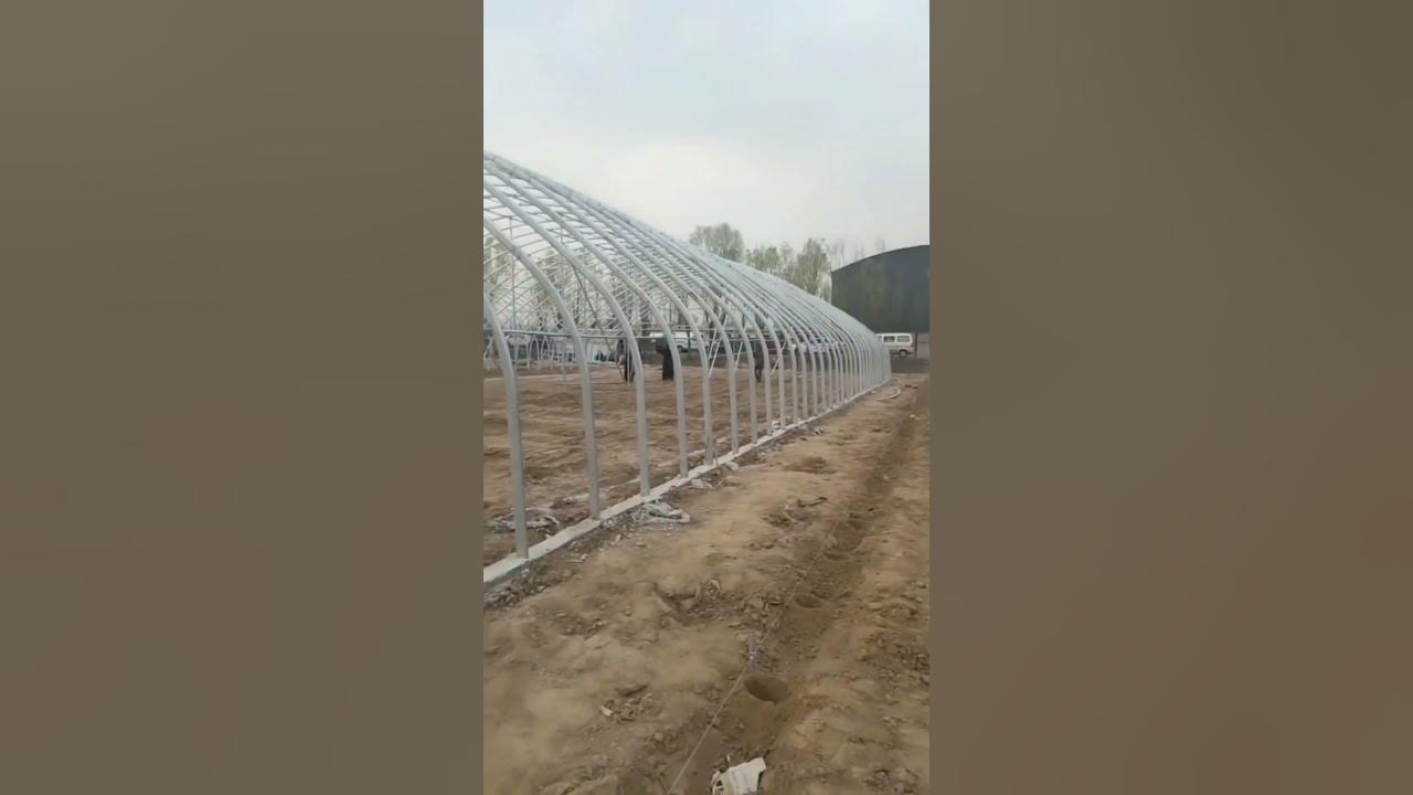 Greenhouse construction, greenhouse production, greenhouse breeding, greenhouse agriculture