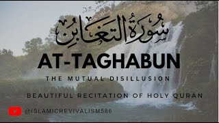 Surah At-Taghabun /Beautiful Quran Recitation/with English Translation in Subtitles