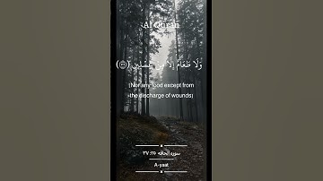 سوره الحاقه [٣٢:٣٧] #القرآن_الكريم #سورة_الحاقة #عبدالرحمن_السديس [انه كان لا يؤمن بالله العظيم]