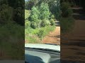 Bunyip State Park - Just Send It short
