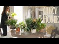 Cozy Home Habits - Simple Steps To A Tranquil Living Space