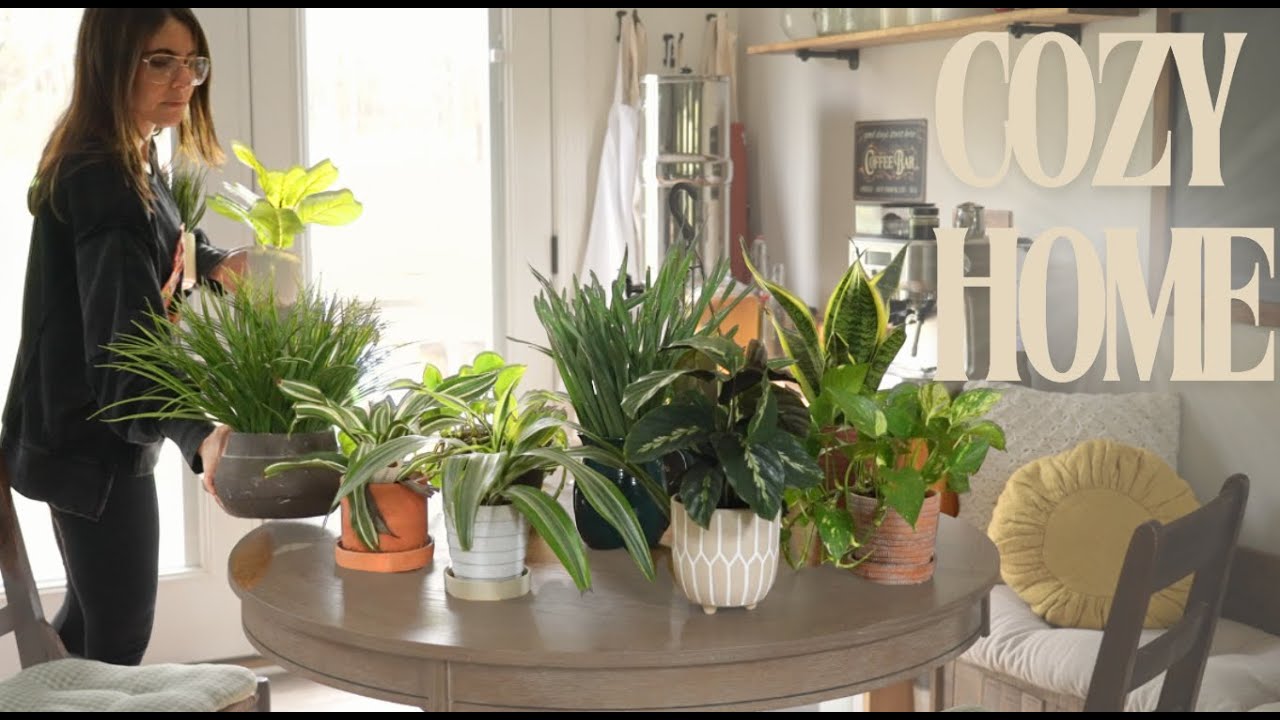 Cozy Home Habits - Simple Steps To A Tranquil Living Space