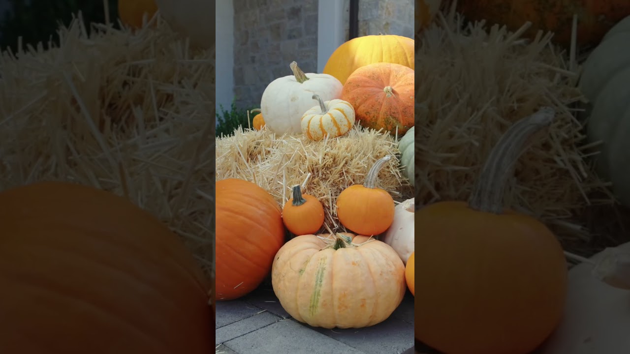 Pumpkin Spice Porches