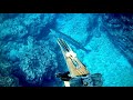 素潜りで狙った魚だけを1匹ずつとる漁
