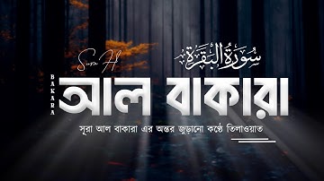 Surah Al Baqarah Full (سورة البقره) | সূরা আল বাকারা | By Abdullah Imran