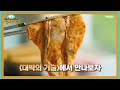 생생 정보마당 [1569회] MBN 240508 방송