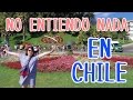 Mi primer día en CHILE La Esponesa #48
