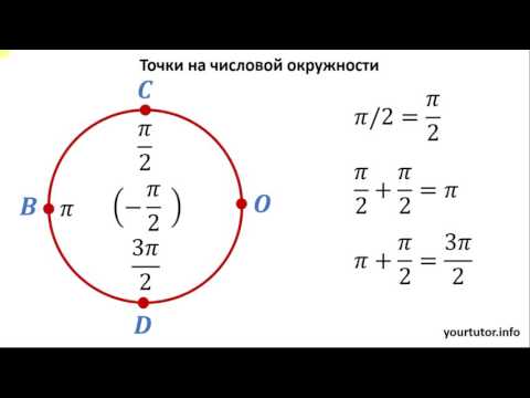 Как найти точку на числовой окружности видеоурок