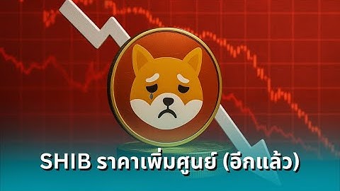 Shiba Inu (SHIB) Price Analysis: Is the Bear Market Over? - Siam Blockchain