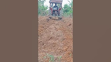 Pengolahan lahan singkong#shorts #bertani #singkong #dharmayasaberkarya