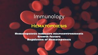 Hematopoiesis  Part 22 