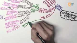 EC1002 - 14.01 The Open Economy Basics