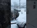 Snow Falling in Canada ❄️ Winter Mood #shorts #snowfall #relaxingvideo