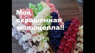 КАК МОЛЮЦЕЛЛУ В РАЗНЫЕ ЦВЕТА ПОКРАСИТЬ!!