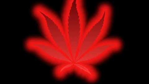 Mr. Matt Burke (Intro)