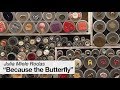 Disability Studies Webinar: “Because the Butterfly” Autistic Disturbances of Language and Rhetoric Disability Studies Webinar: “Because the Butterfly” Autistic Disturbances of Language and Rhetoric
