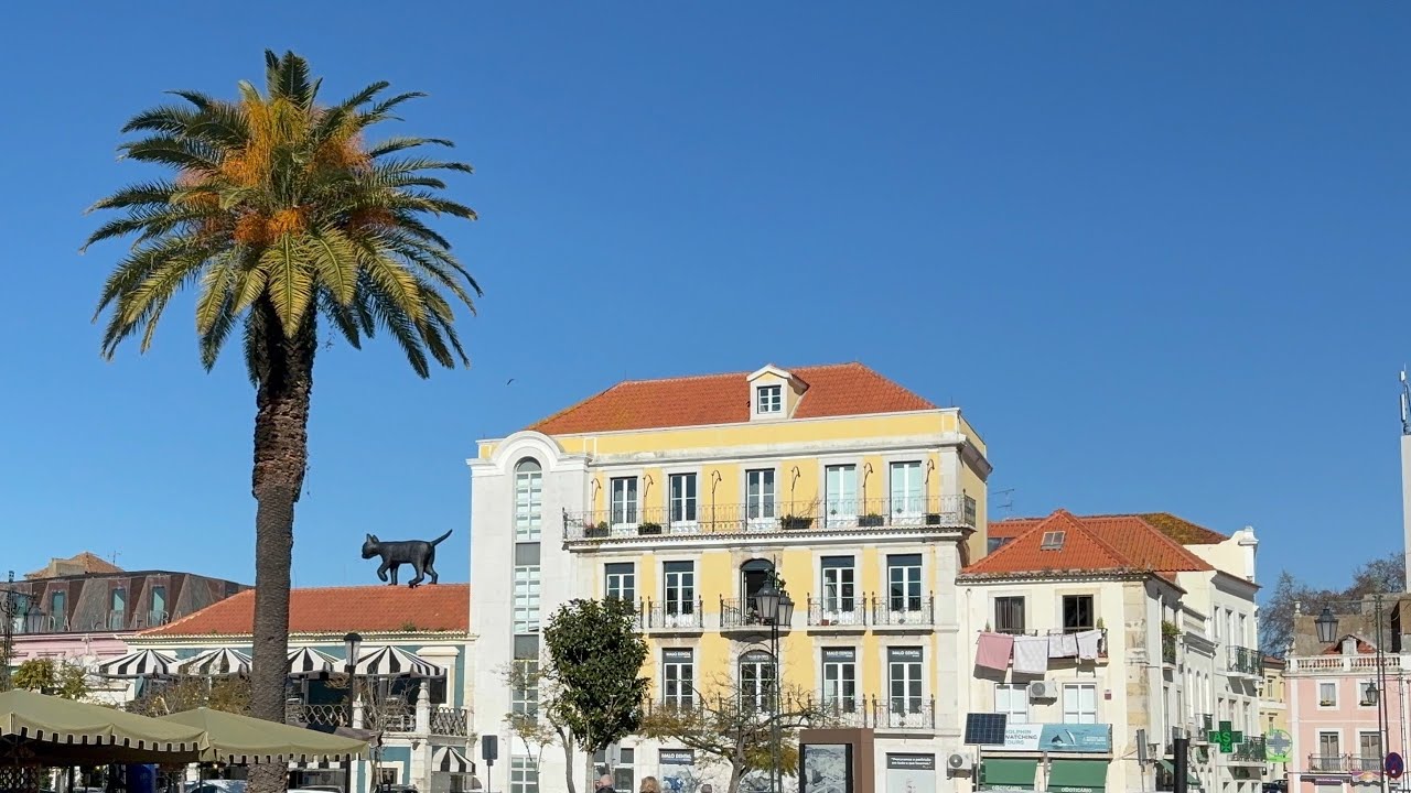Portugal 161 small town Setubal - Walking｜Town Hall｜Praça do Bocage｜Old town