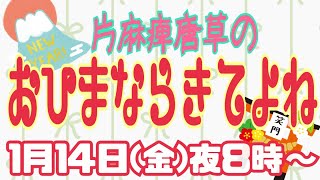 唐草のおひまならきてよね！