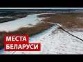 Белорусские болота. Зачем сюда едут иностранцы? // Споровский заказник. Видео с дрона