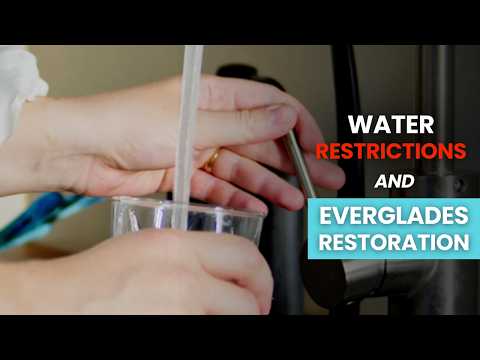 How Does Everglades Restoration Protect South Florida's Water Supply? Everglades Scientist Explains.