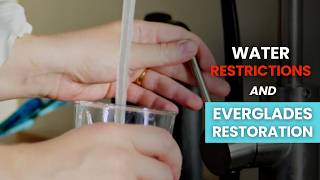 How Does Everglades Restoration Protect South Florida's Water Supply? Everglades Scientist Explains.