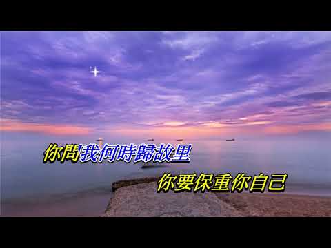 大約在冬季〈華語〉王傑〈卡拉伴奏 2S 降調版〉