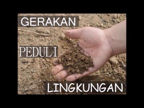 Video: Mengapa gerakan lingkungan dimulai?