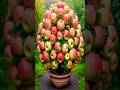 The Future of Apple Farming: New Harvesting Apples! #shorts #satisfying #farming