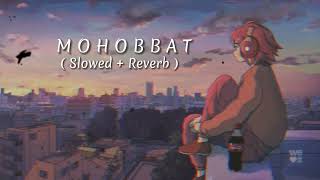 Mohabbat Ab Mai Na Karunga Kisiko (Slowed + Reverb)  | Hindi SONGS Edit |