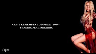 Can't Remember To Forget You - Shakira feat. Rihanna (lyrics)