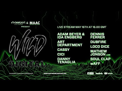 @Beatport x MAAC present Wild Digital - Part 2 | Beatport Live
