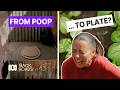 'People are a bit weird about human poo' | Back Roads