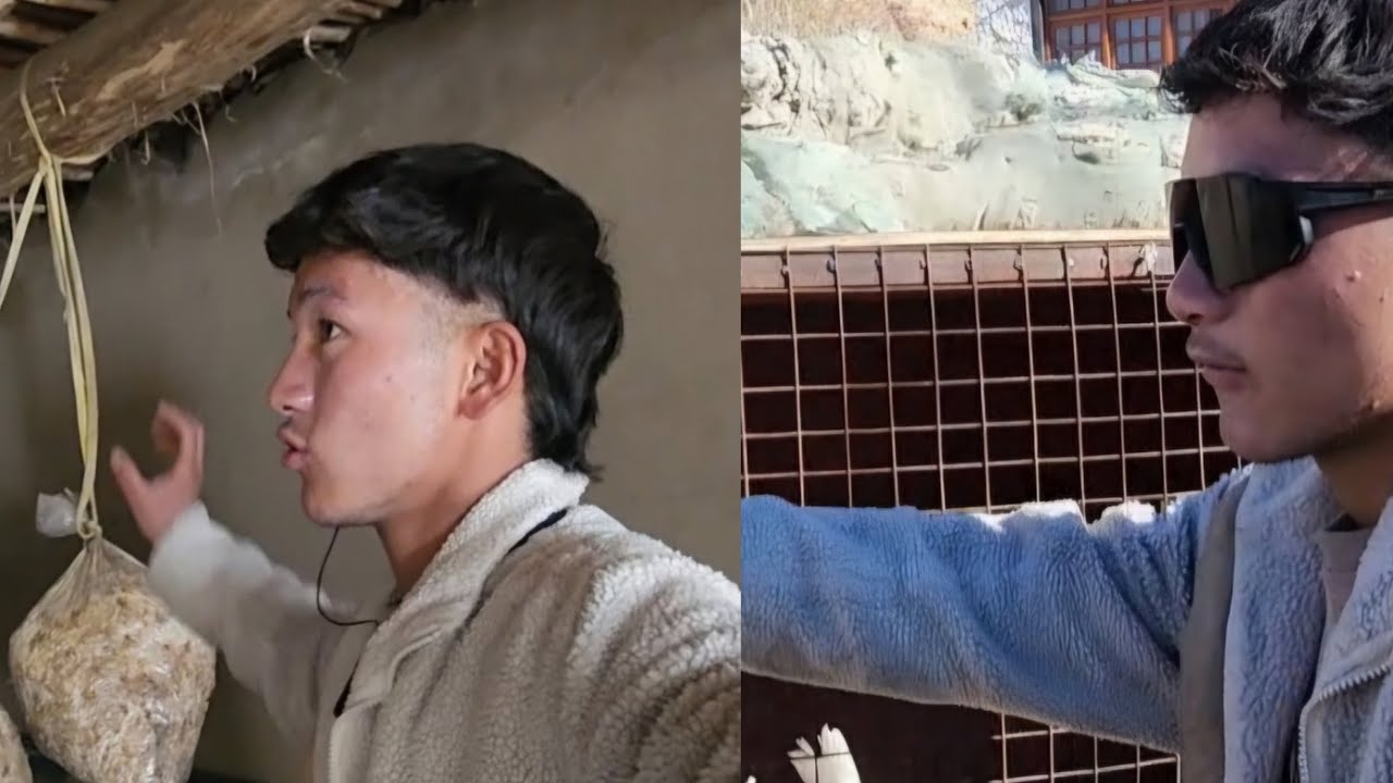 TODAY I LEARNED ABOUT MUSHROOM FARMING AND POULTRY FARMING. 