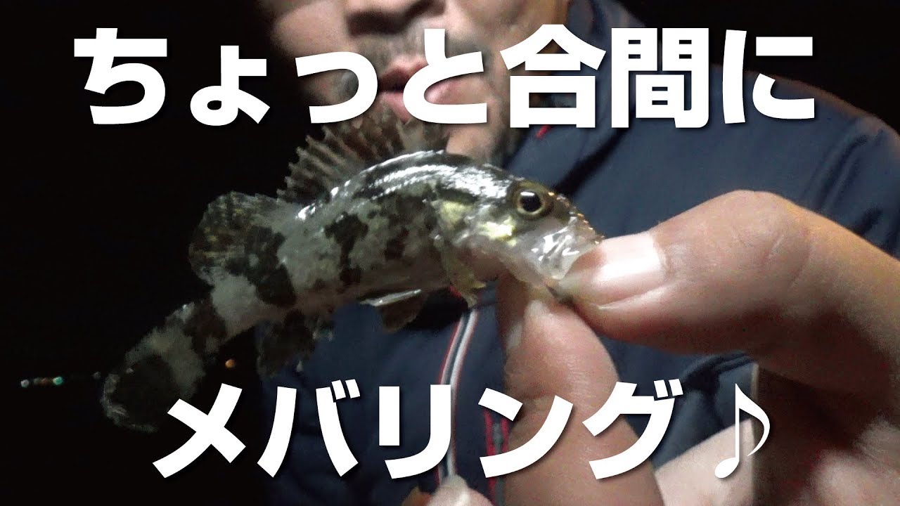 ヒラメの泳がせ釣りの仕掛けを紹介 Youtube