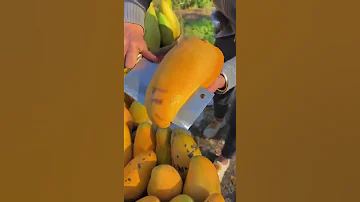 Сказочный манго в Таиланде