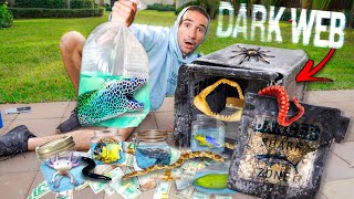 Ordering ABANDONED Fish SAFE Off the DARK WEB (Finally Opened It)